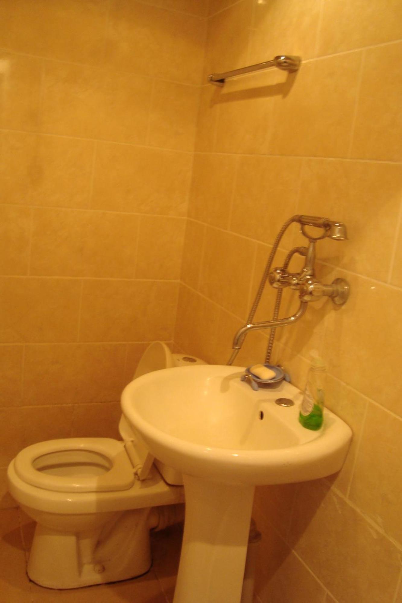 Guesthouse Valeria Borjomi Bagian luar foto