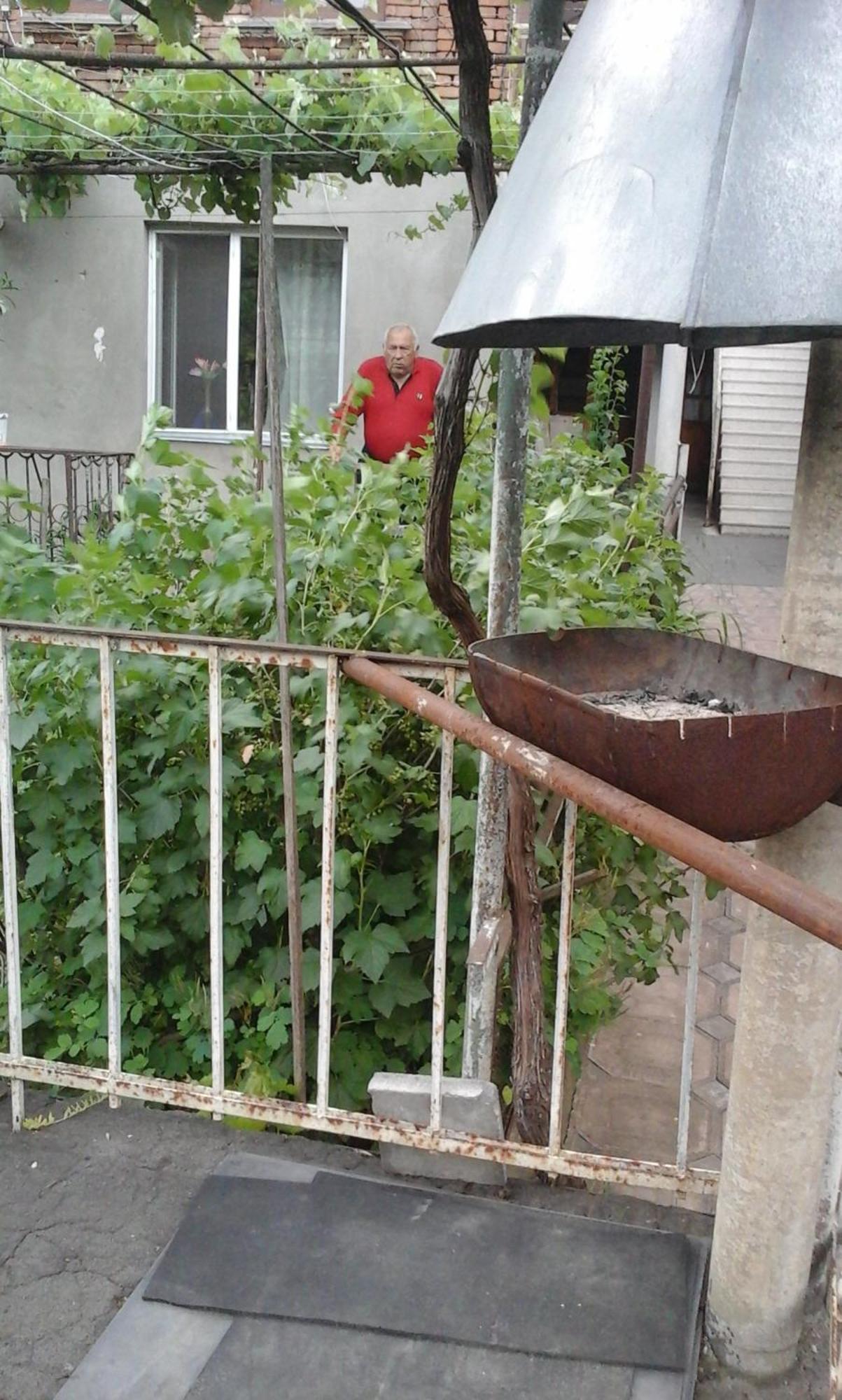 Guesthouse Valeria Borjomi Bagian luar foto