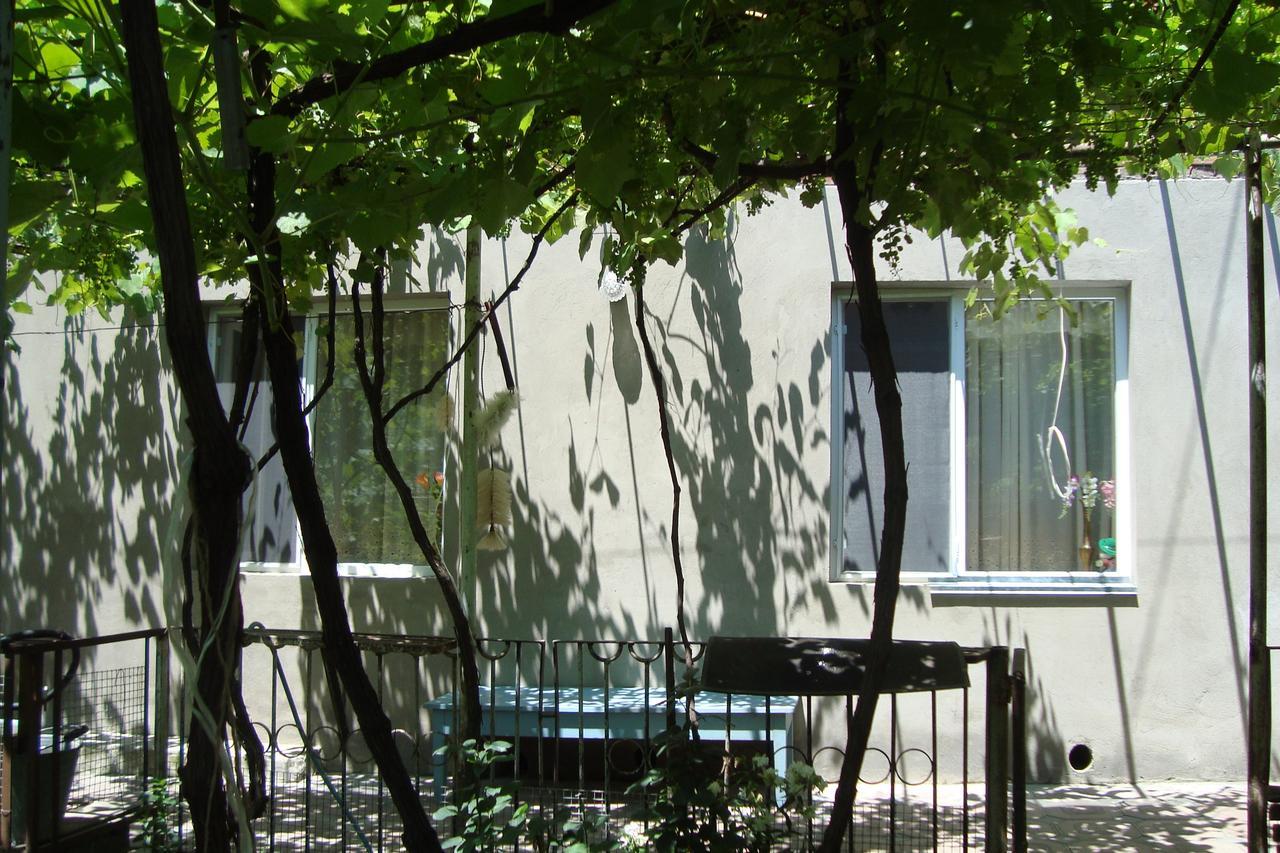 Guesthouse Valeria Borjomi Bagian luar foto