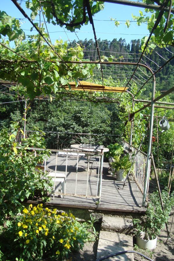 Guesthouse Valeria Borjomi Bagian luar foto
