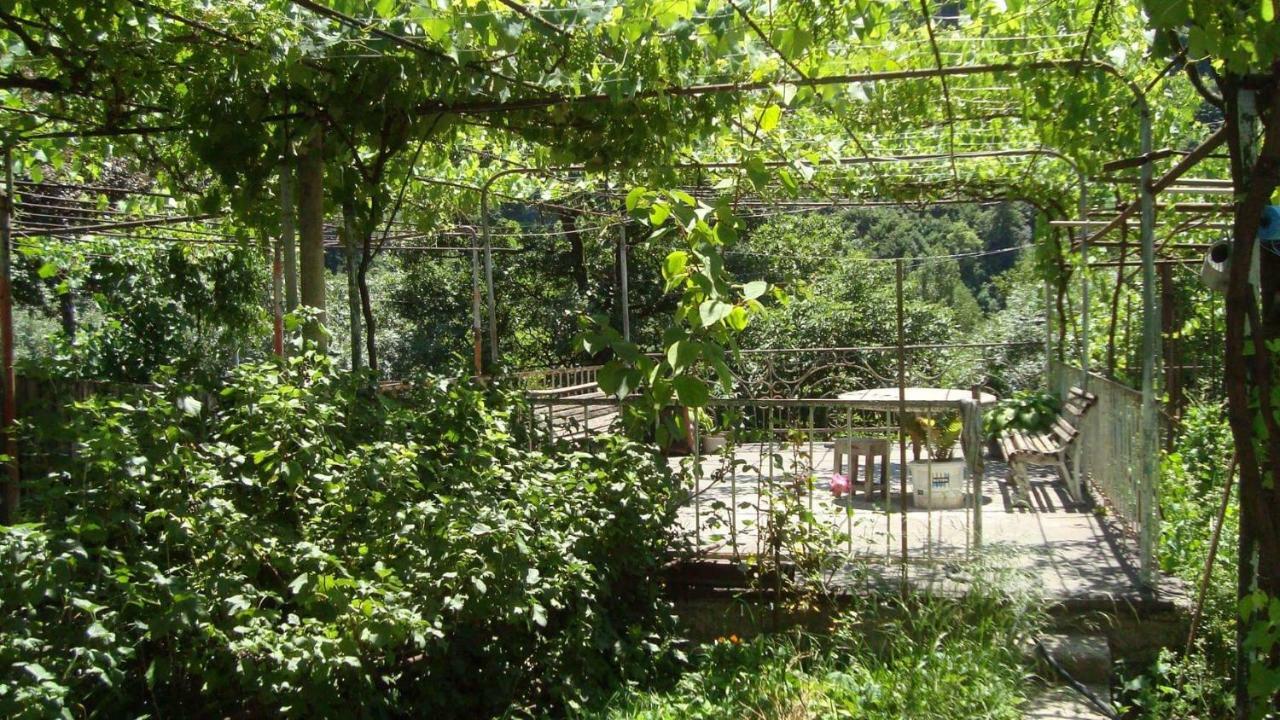 Guesthouse Valeria Borjomi Bagian luar foto