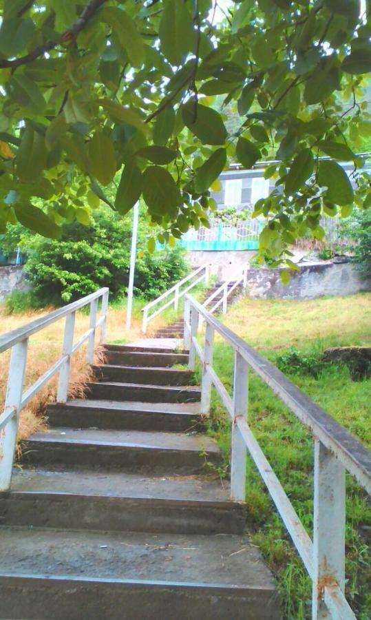 Guesthouse Valeria Borjomi Bagian luar foto